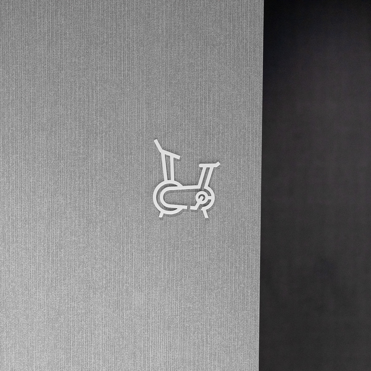Pictogramme Gym en situation